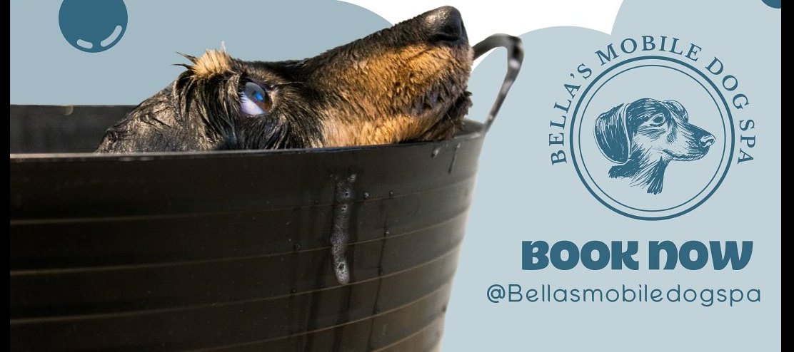 BUCKET DOGGO